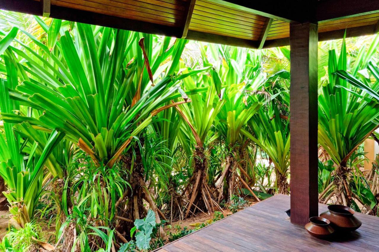 Zorah Beach Hotel Trairi Luaran gambar